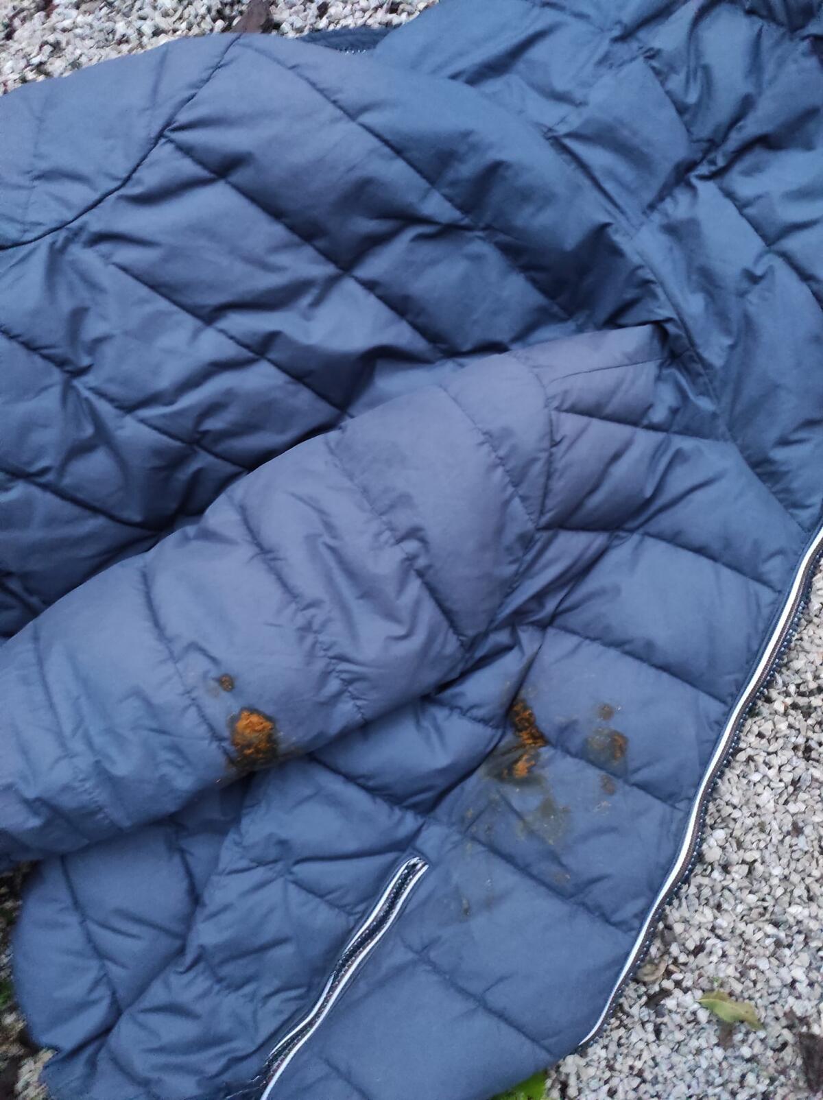 Velletri - Tirano il sacchetto con le deiezioni del cane in un giardino e colpiscono una donna, poi le minacce di morte - 