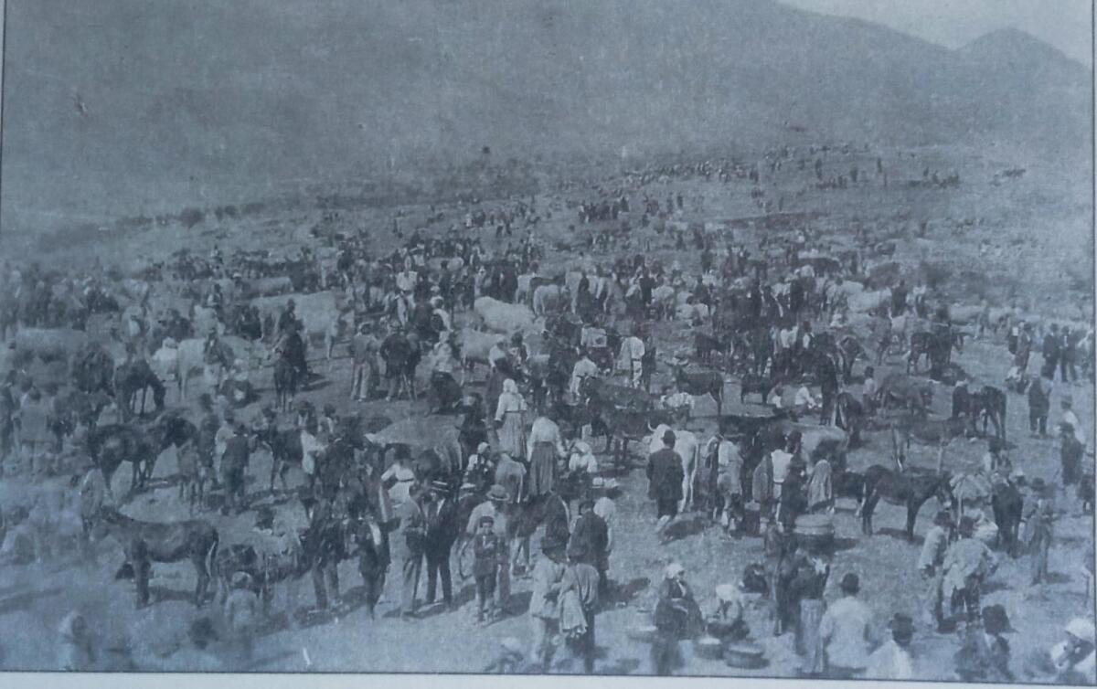 Riconosciuta la storicità di 15 mercati e fiere della provincia di Latina. Ecco l'elenco. - 