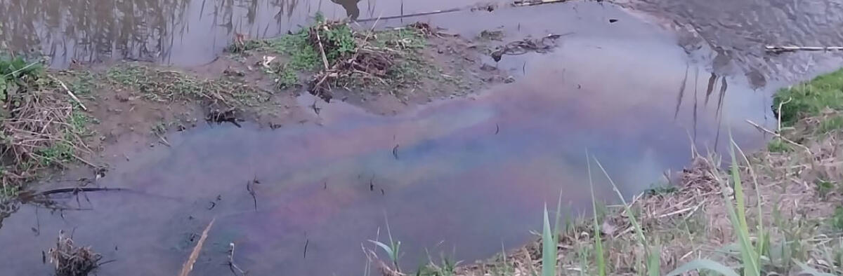 Pericolo inquinamento nel fosso di Campo Ascolano a Torvaianica, prelievi dell'Arpa - 