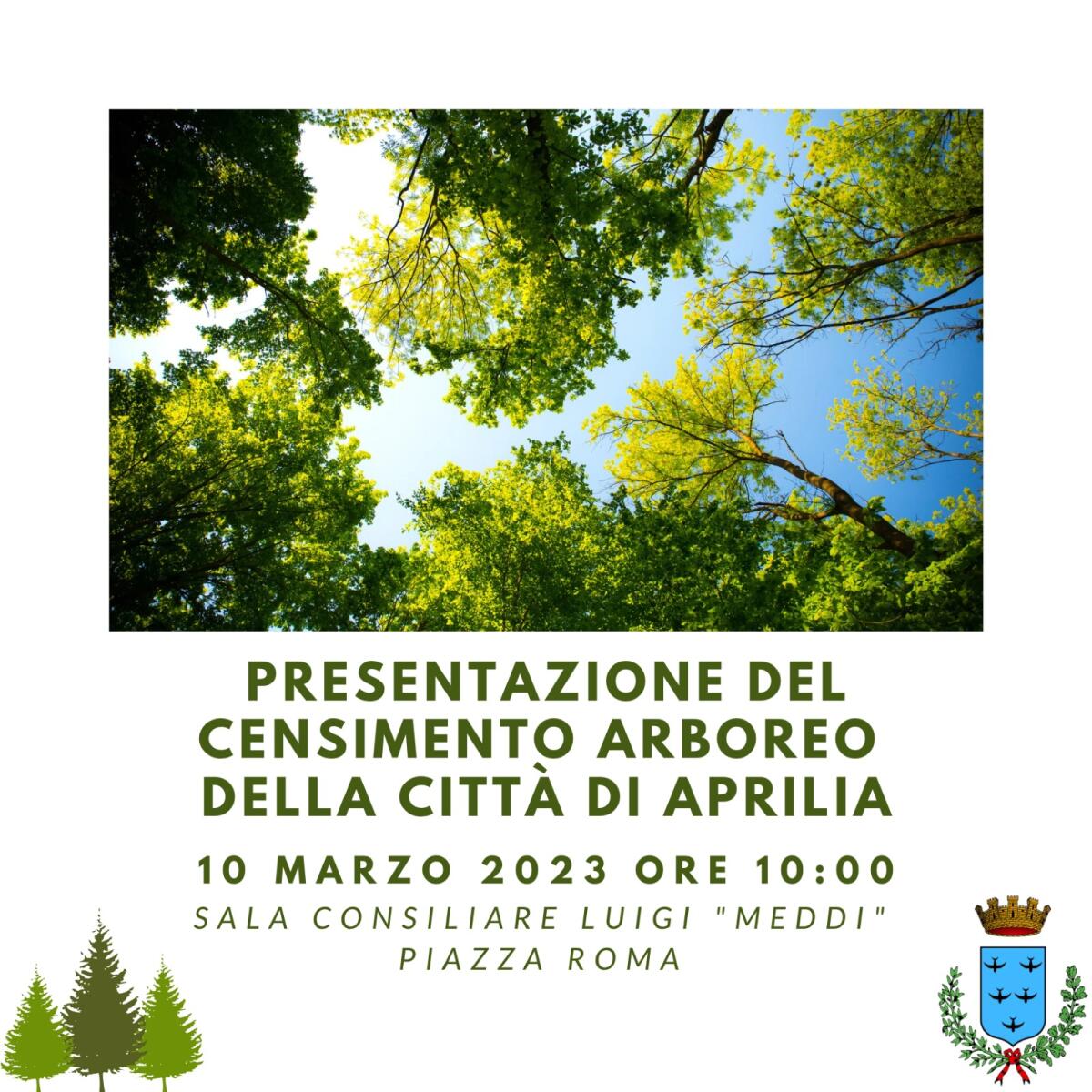 Censimento arboreo ad Aprilia: questo venerdì la presentazione in Aula Consiliare. - 