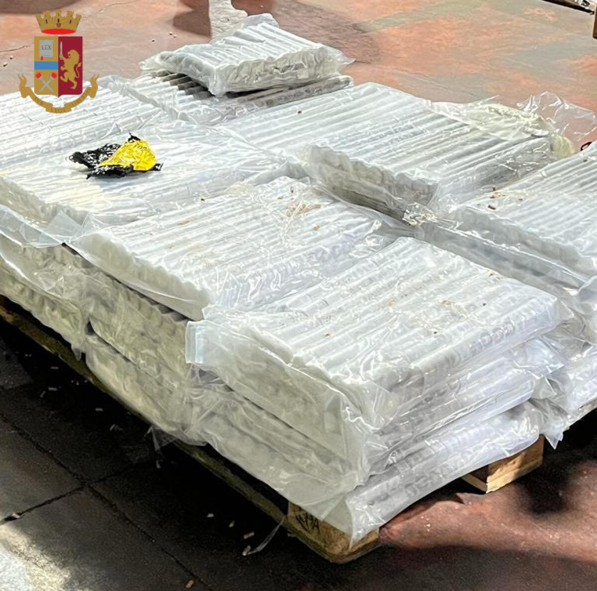 La Polizia di Stato sequestra circa 533 chili di droga: 2 persone arrestate - 