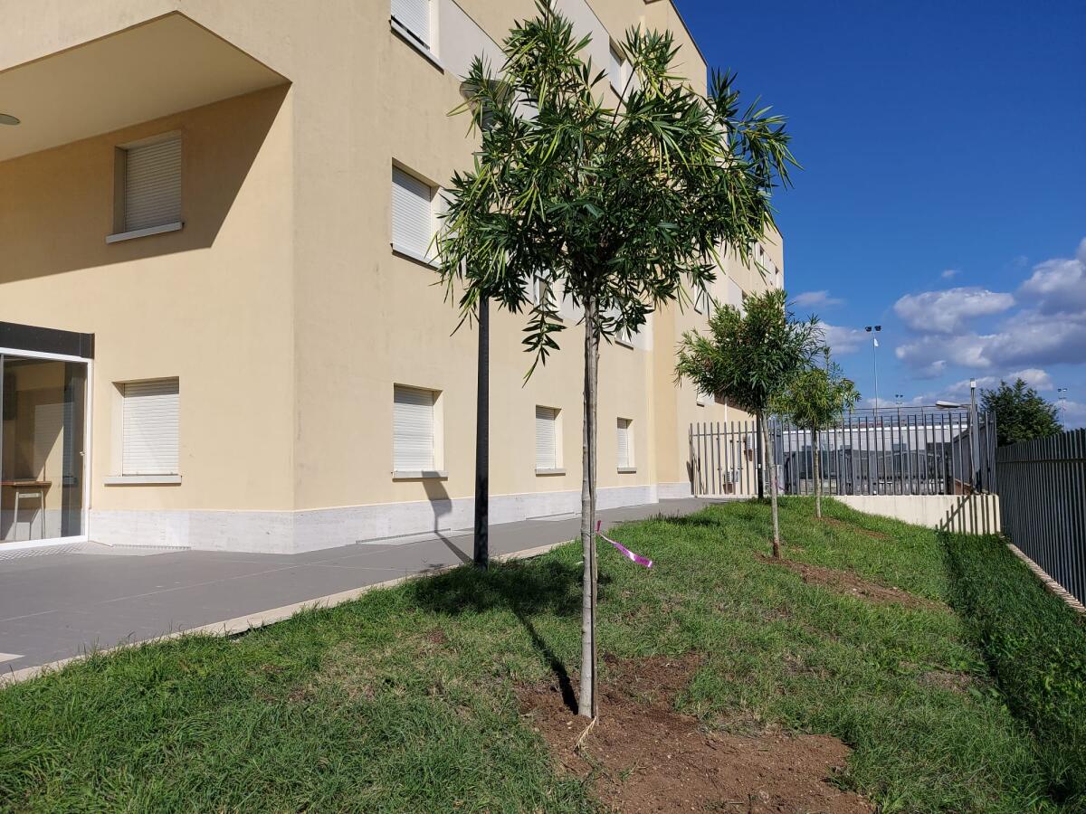 ARDEA - Acqua potabile al Villaggio Ardeatino, Acea Ato2 installa i distributori fissi. - 