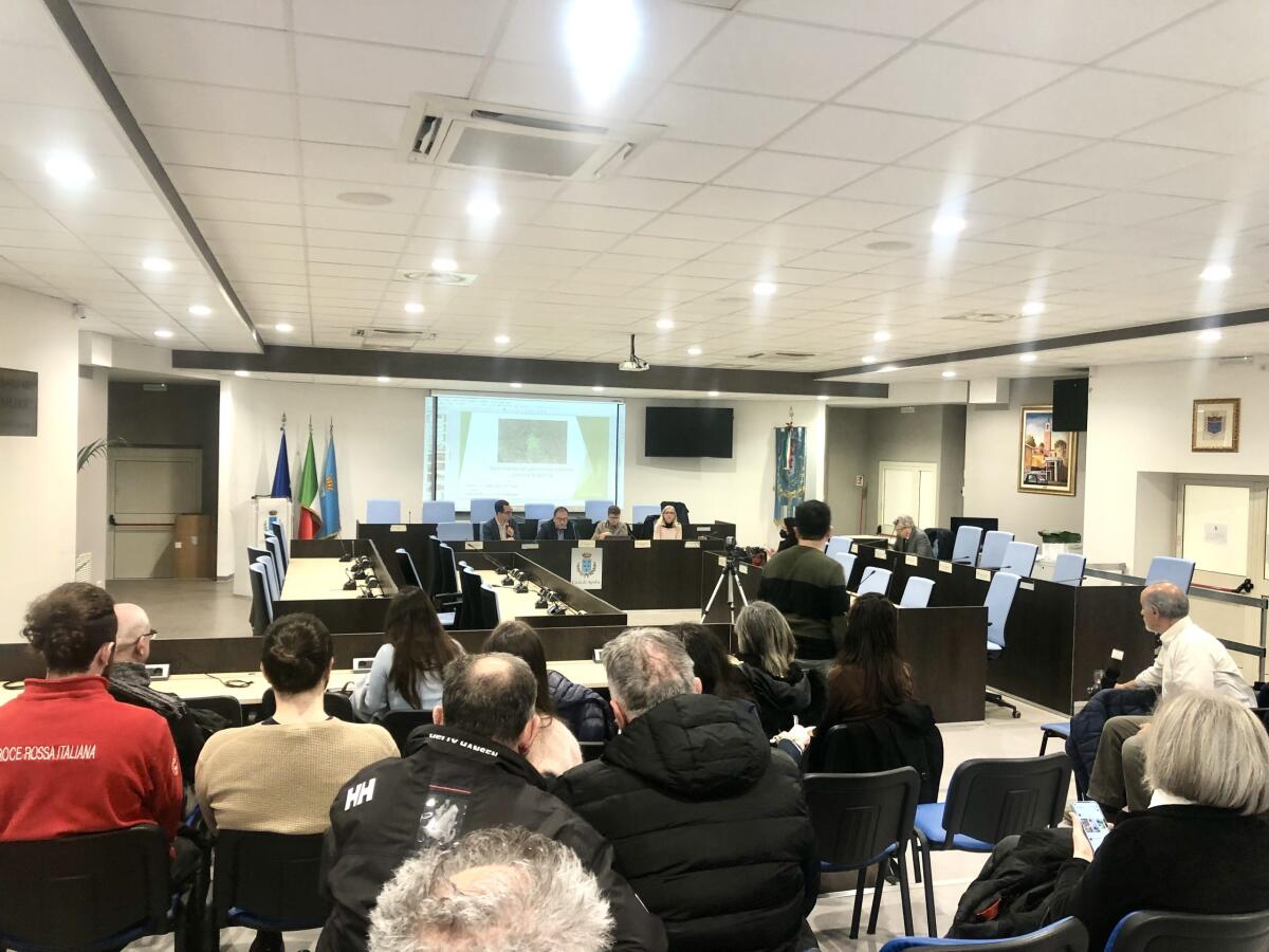 Censimento arboreo ad Aprilia: in città 92 generi e 140 specie - 