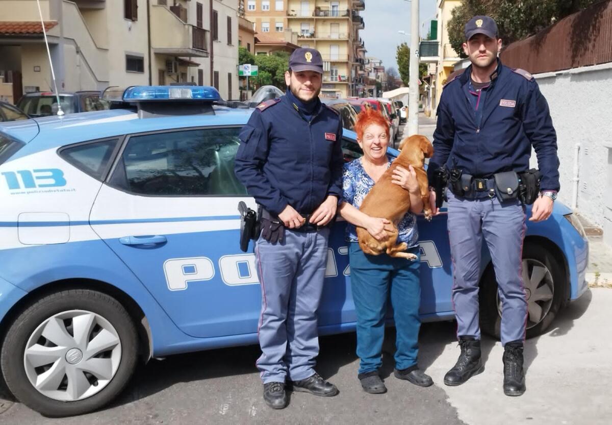 Cane smarrito, lo ritrova la polizia e lo restituisce alla proprietaria - 
