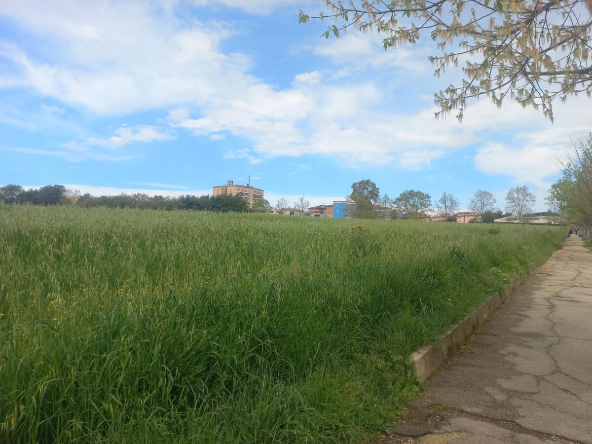 Aprilia. La coalizione del candidato sindaco Principi sull’area mercato mai realizzata: “Inauguriamo noi un’opera che non c’è” - 