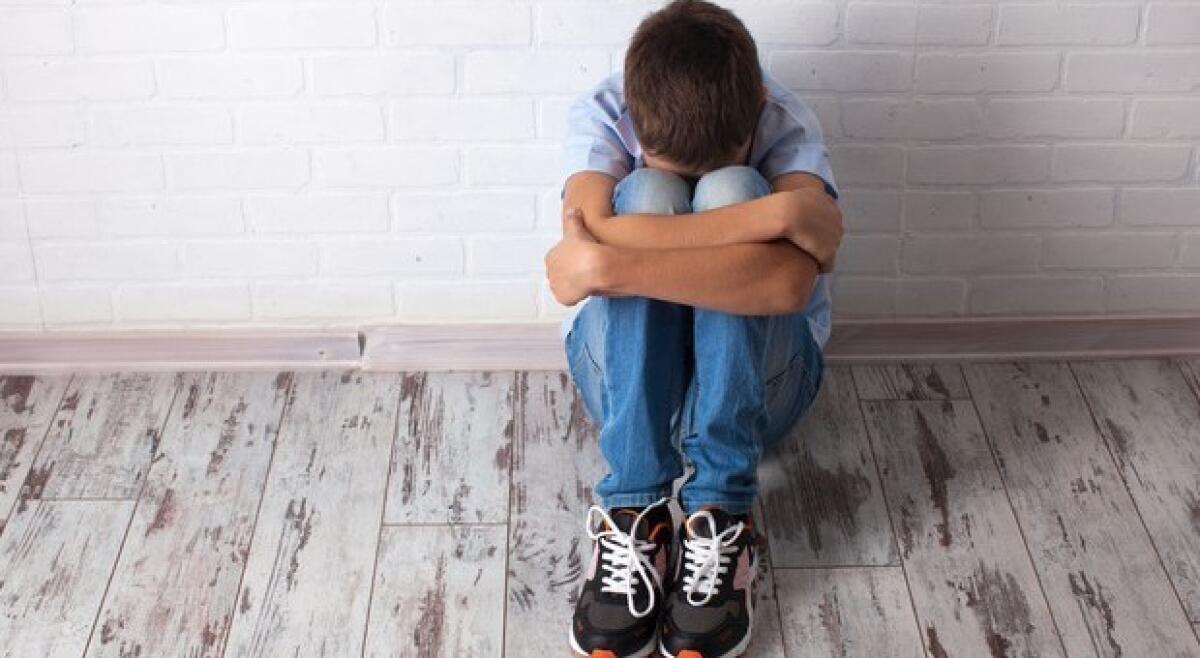 In 15 bullizzano una coetanea a scuola: indaga la Polizia Postale di Latina - 