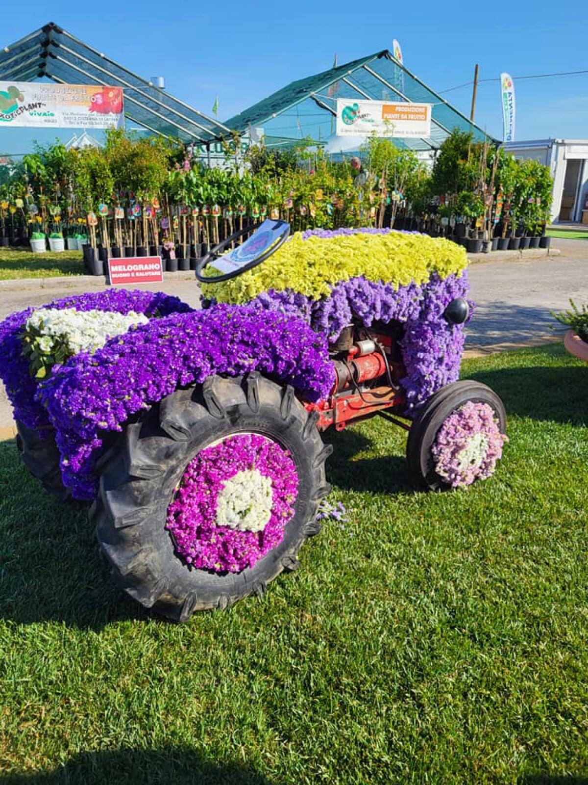Prosegue, con un grande successo di pubblico, la 36esima edizione della Mostra Agricola Campoverde. Le FOTO - 