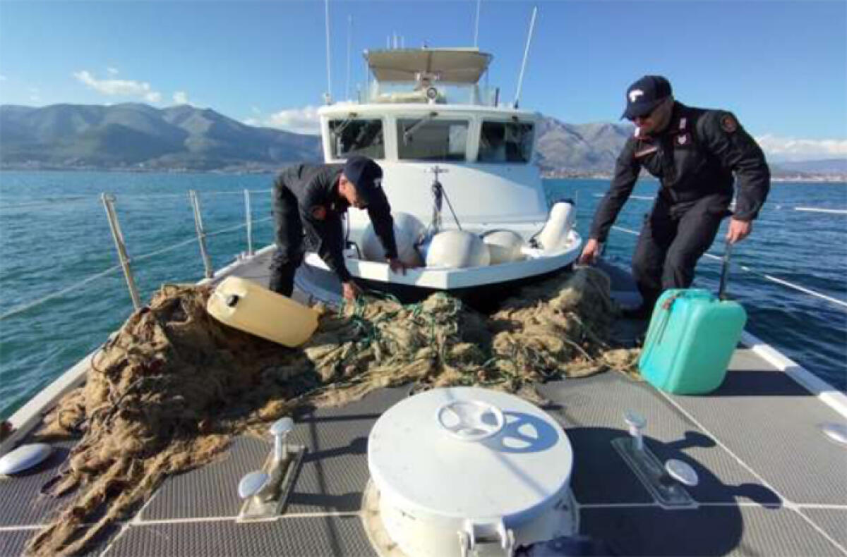 Controlli straordinari del territorio nel sud pontino. Sanzionato un locale, scatta anche un sequestro per pesca abusiva. - 