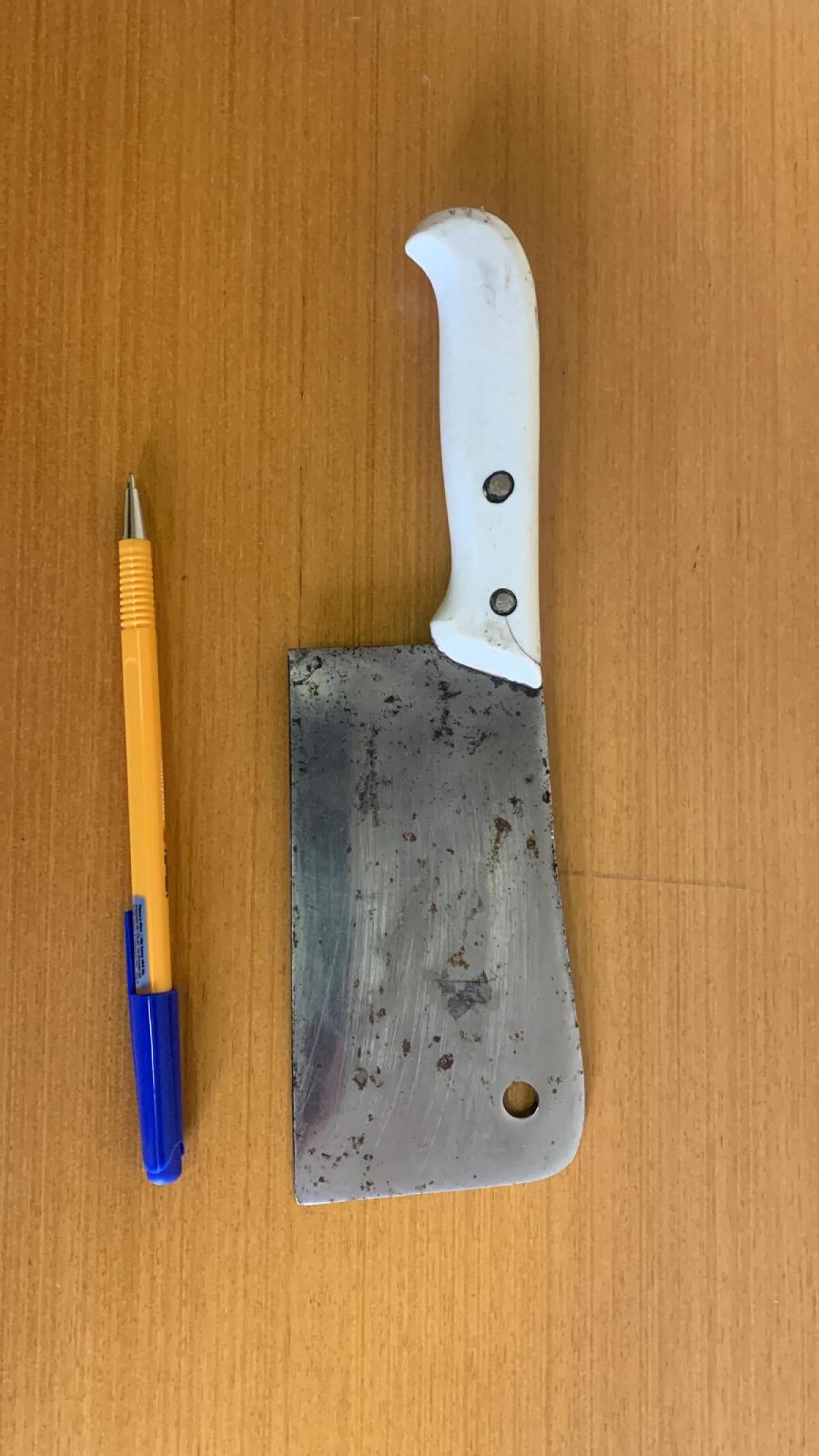 Con mannaia e cric minaccia clienti e gestore del Roxy bar di Genzano: arrestato - 