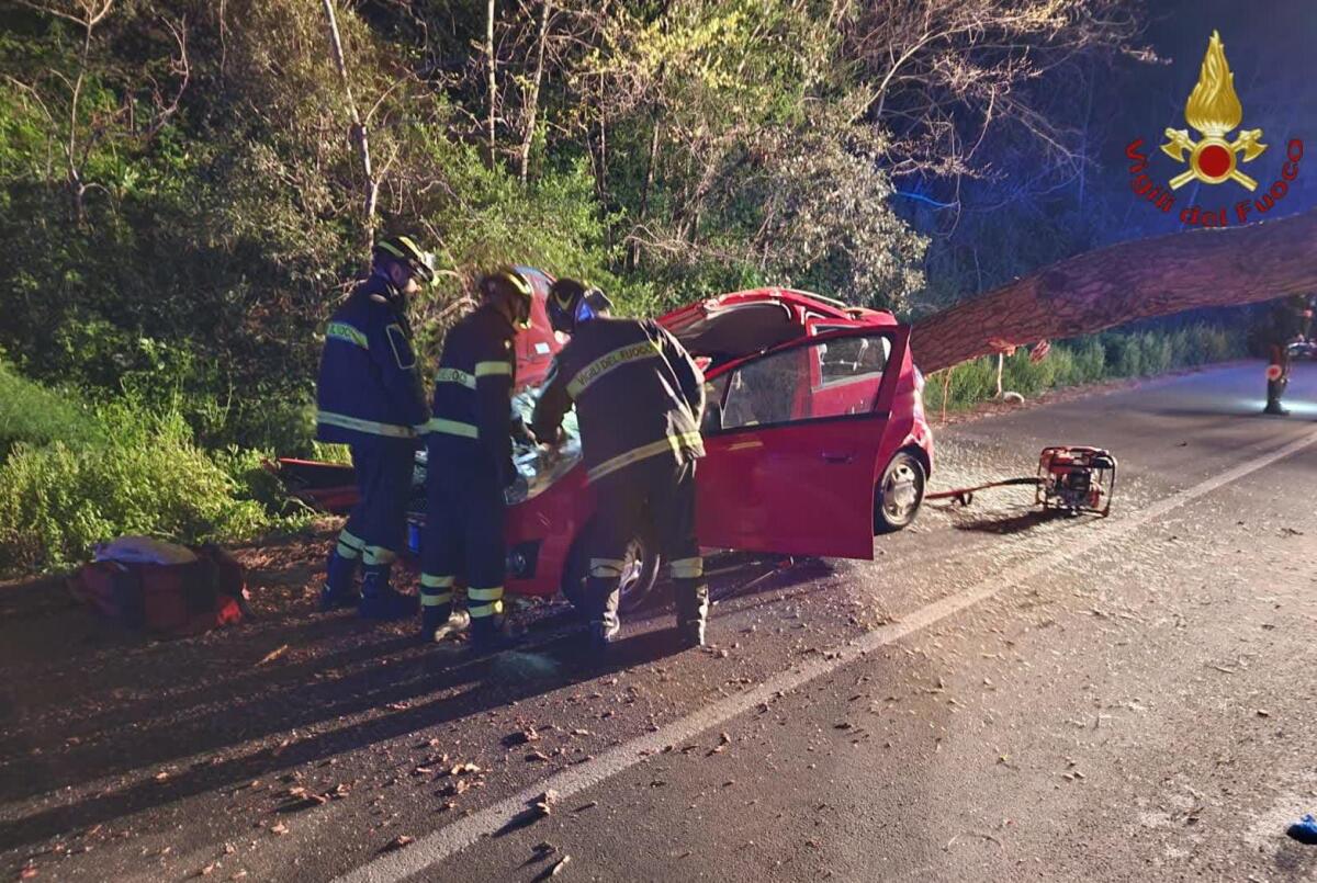 Crolla un grosso albero su un’auto in transito a Castel Gandolfo: due persone ferite, una è in condizioni gravi. - 
