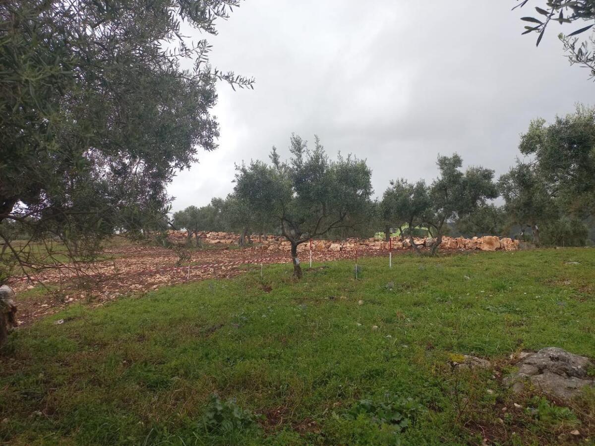 Lavori di sbancamento in un'area di alto pregio storico: intervengono i carabinieri di Sermoneta - 