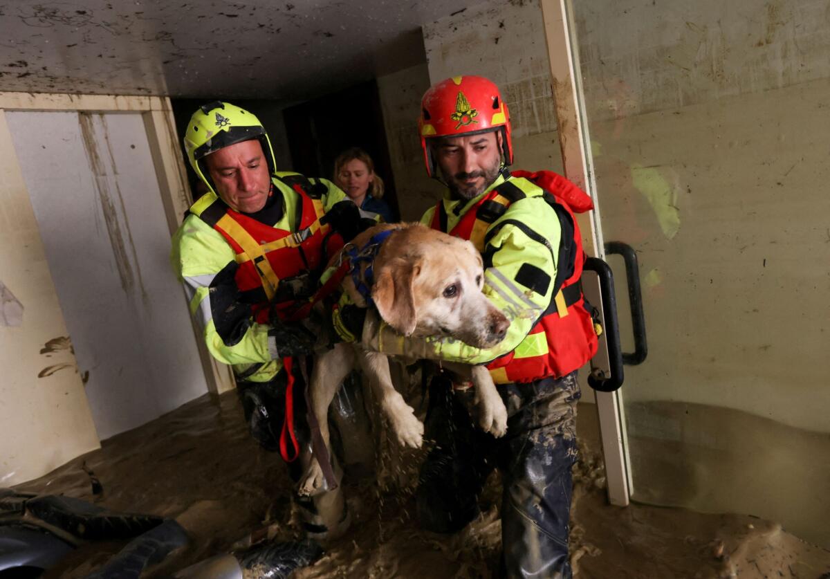 Alluvione in Emilia Romagna, il centro cinofilo di Aprilia "Un Cane per amico" punto di raccolta di generi alimentari per gli amici a 4 zampe, ma non solo. - 