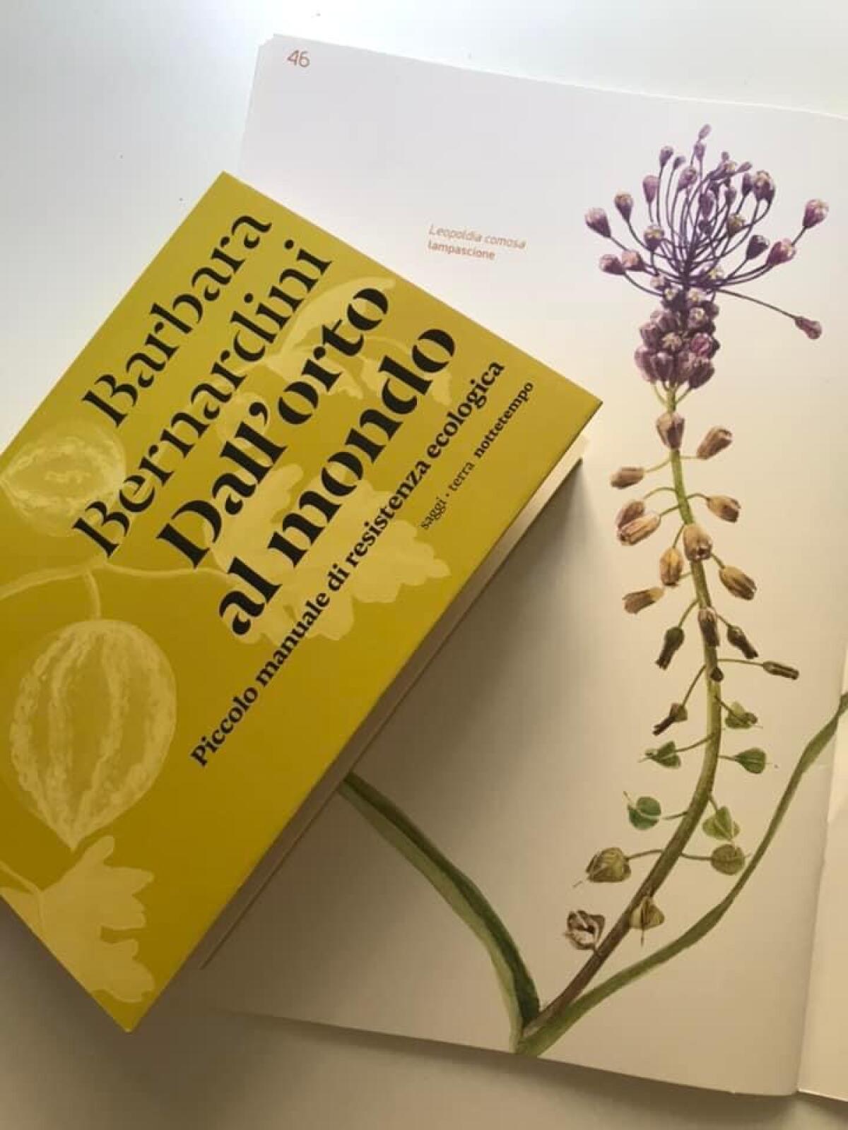 “Dall'orto al mondo. Piccolo manuale di resistenza ecologica“, ad Aprilia la presentazione del libro di Barbara Bernardini - 