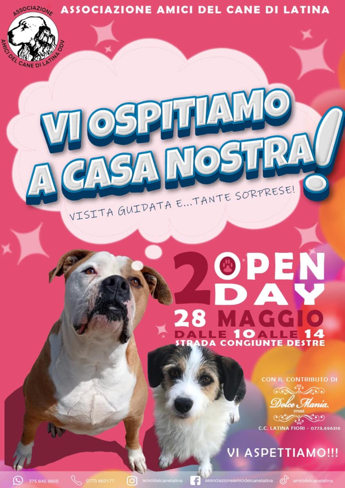 Domenica 28 Maggio torna l’Open Day al Canile di Chiesuola, a Latina: ad organizzarlo l’Associazione Amici del Cane. - 