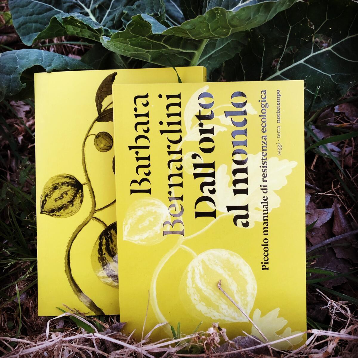 "Dall'orto al mondo", questo venerdì ad Aprilia la presentazione del libro di Barbara Bernardini - 