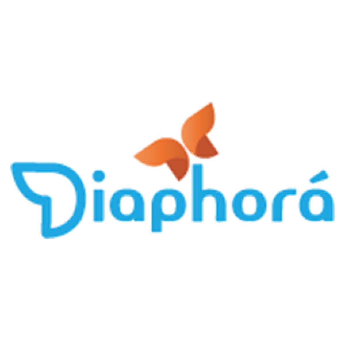 Integrazione della persone con disabilità, a Latina progetto dell’Arma dei Carabinieri e dell’associazione Diaphorà. - 