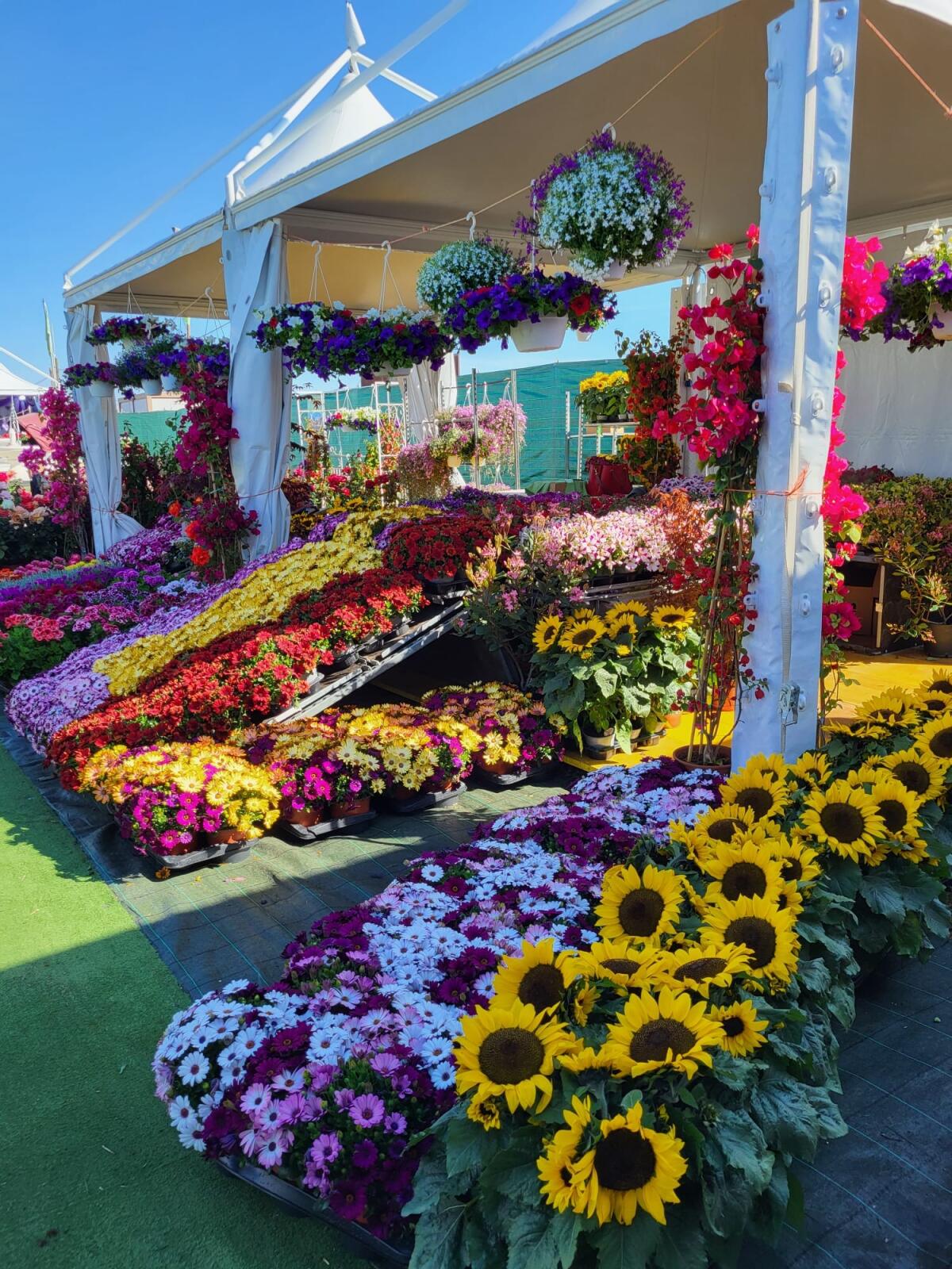 Conclusa con successo la 36esima edizione della Mostra Agricola Campoverde. Ecco i numeri vincenti della “Riffa”. - 