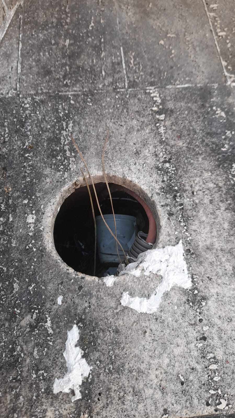 il Parco La Pinetina di Via degli Oleandri, ad Aprilia