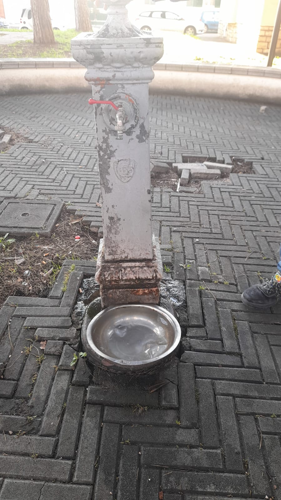 il Parco La Pinetina di Via degli Oleandri, ad Aprilia