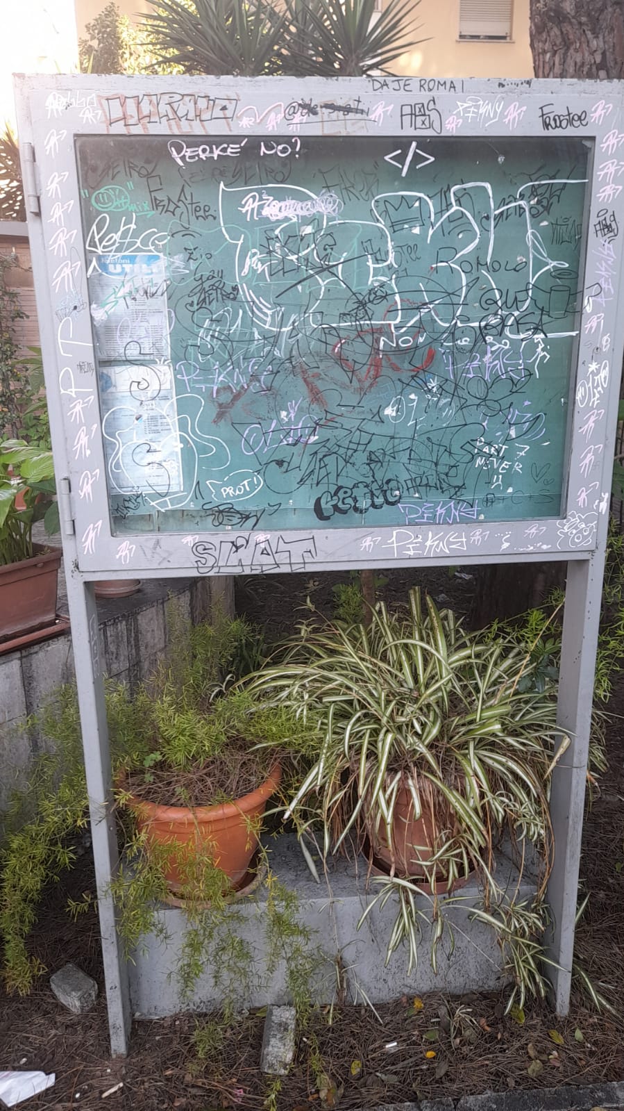 il Parco La Pinetina di Via degli Oleandri, ad Aprilia