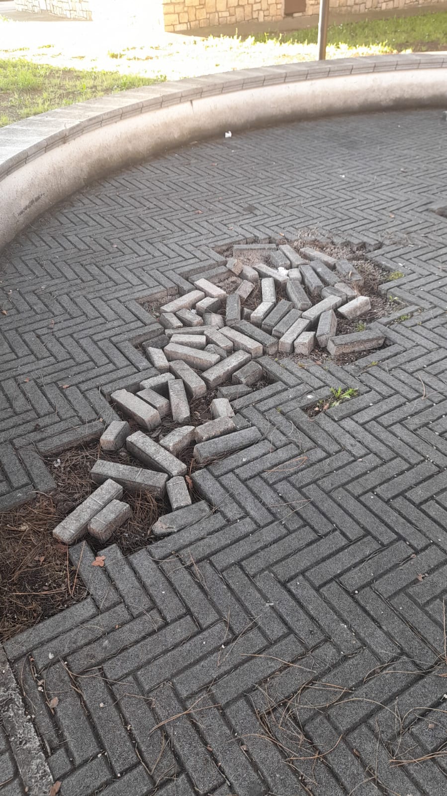 il Parco La Pinetina di Via degli Oleandri, ad Aprilia