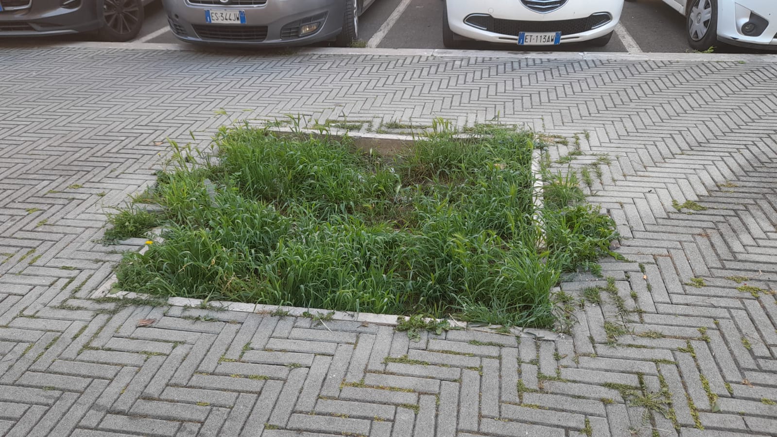 il Parco La Pinetina di Via degli Oleandri, ad Aprilia