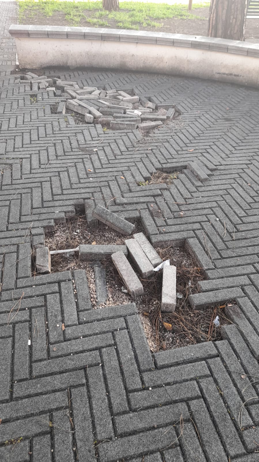 il Parco La Pinetina di Via degli Oleandri, ad Aprilia