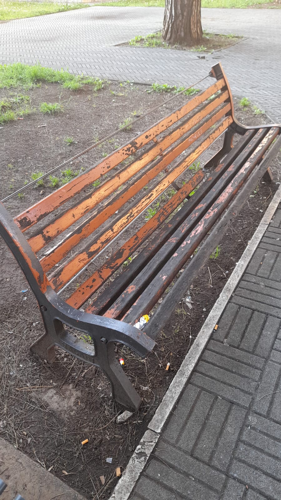 il Parco La Pinetina di Via degli Oleandri, ad Aprilia