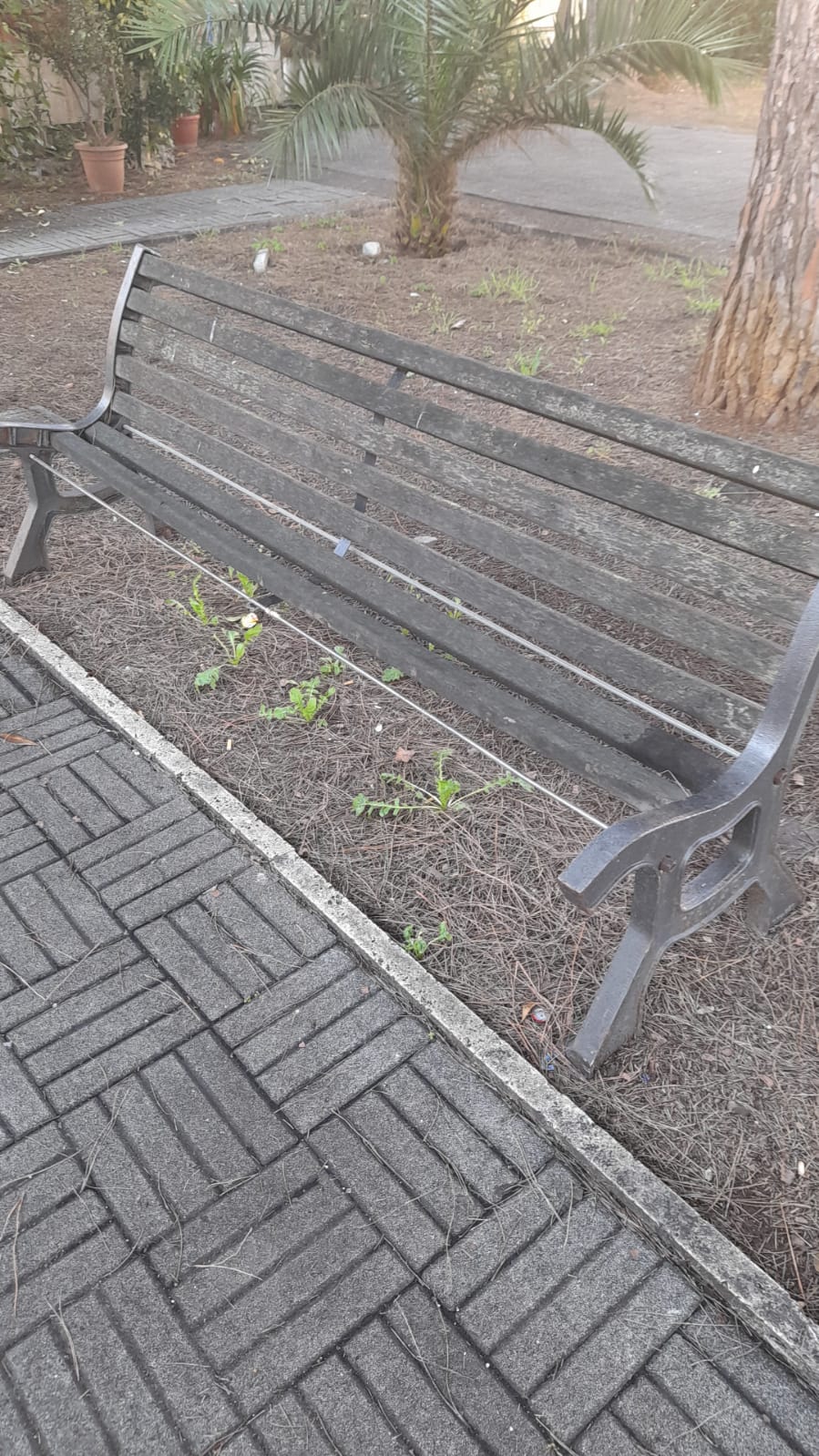 il Parco La Pinetina di Via degli Oleandri, ad Aprilia