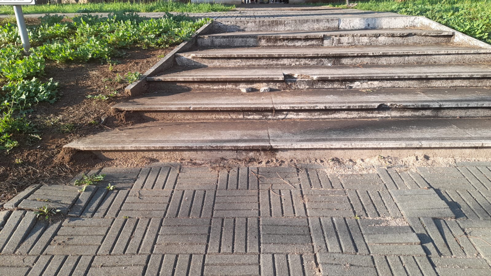 il Parco La Pinetina di Via degli Oleandri, ad Aprilia