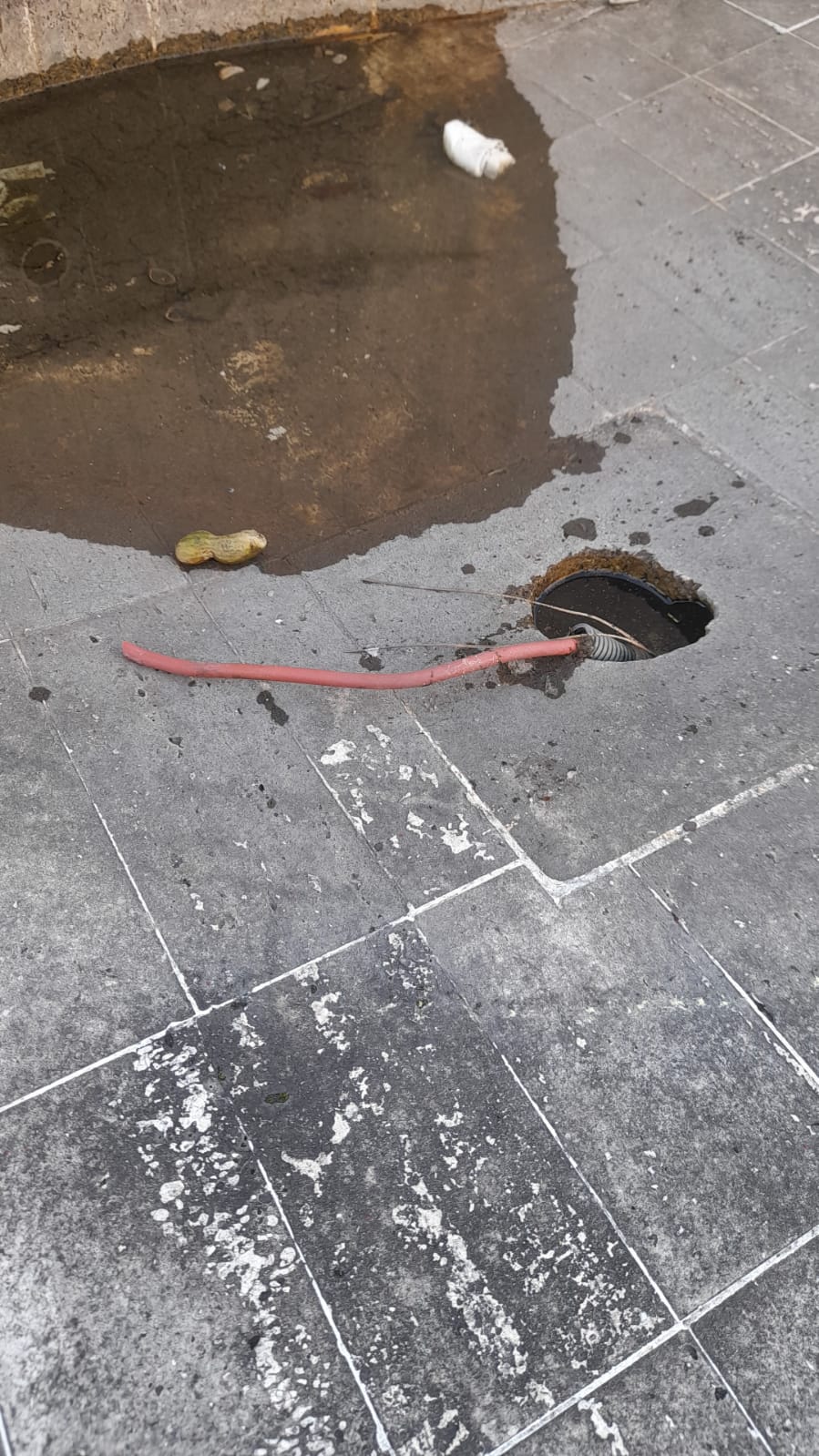 il Parco La Pinetina di Via degli Oleandri, ad Aprilia