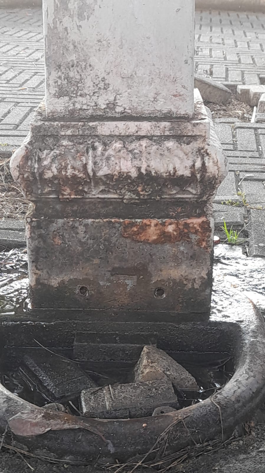 il Parco La Pinetina di Via degli Oleandri, ad Aprilia