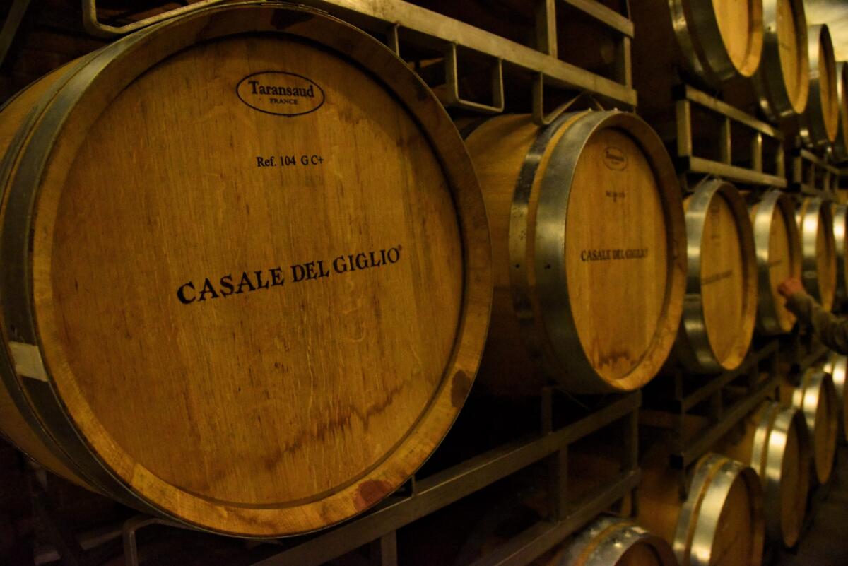 Il Satrico 2022 di “Casale del Giglio” è Gran Medaglia d’Oro e Bianco Rivelazione Italia al Concours Mondial de Bruxelles 2023. - 