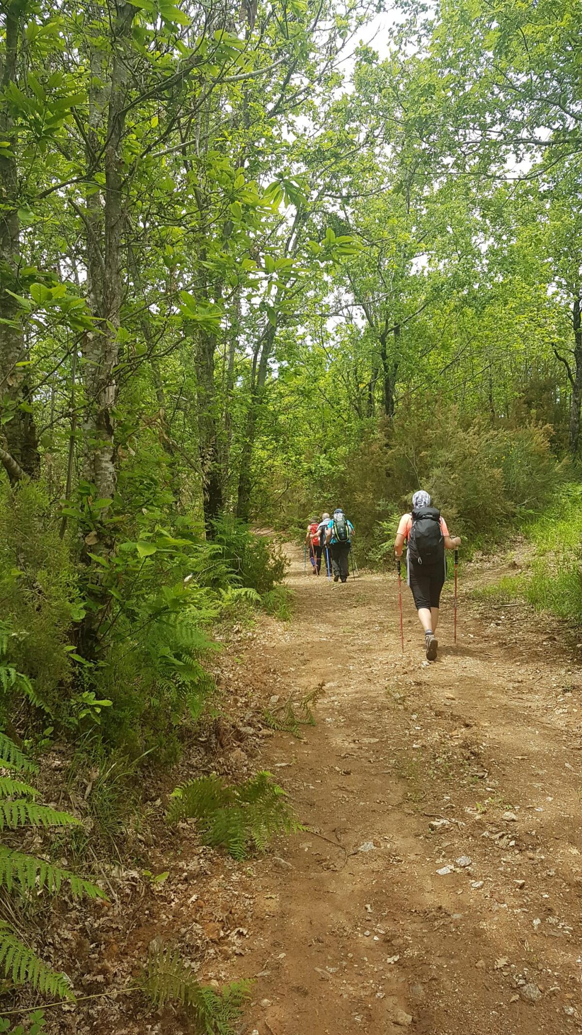Il Cai di Aprilia organizza un'escursione sul monte Amaro e sul lago di Barrea - 