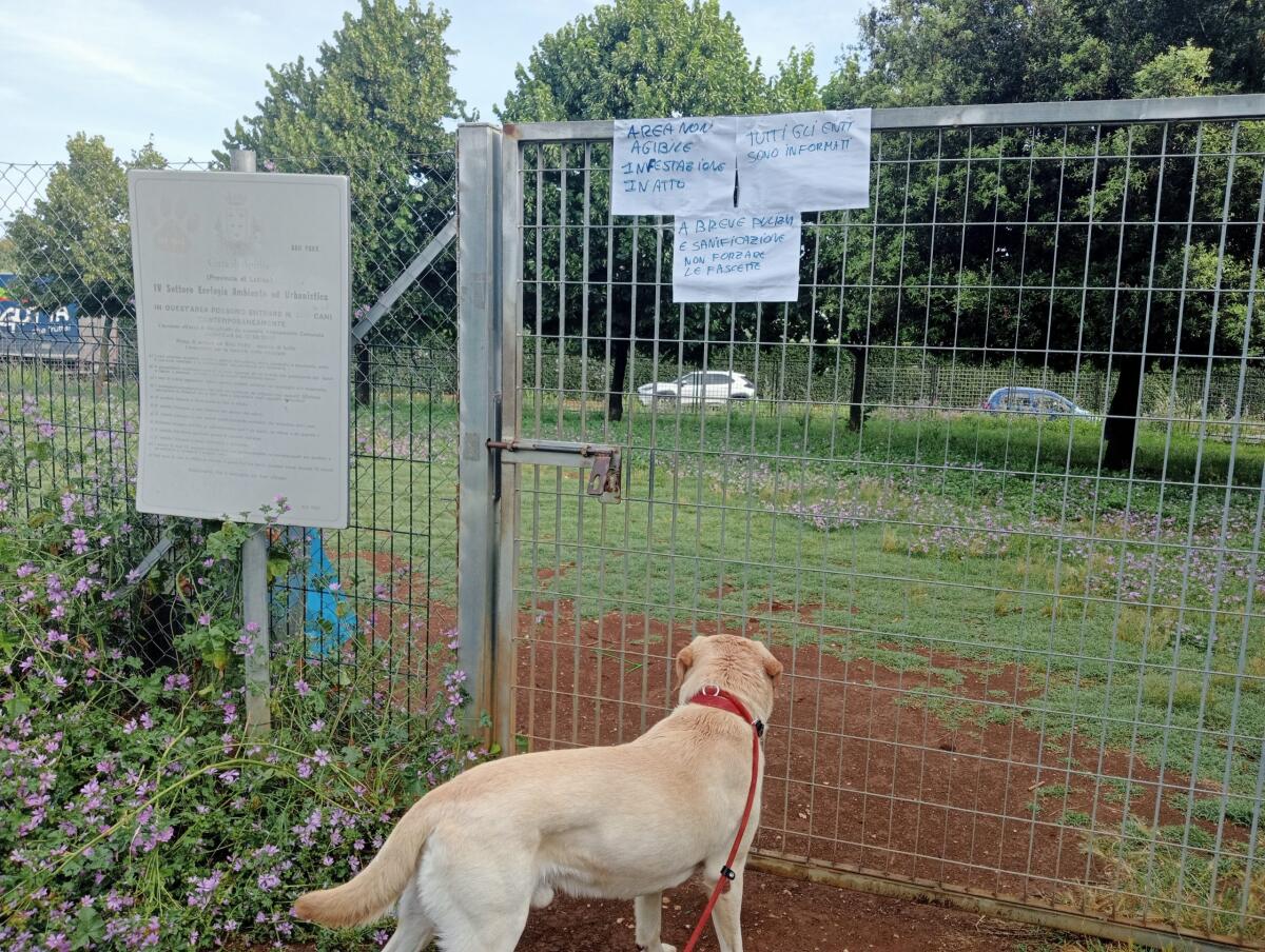 Area cani del parco Friuli di Aprilia inagibile - 