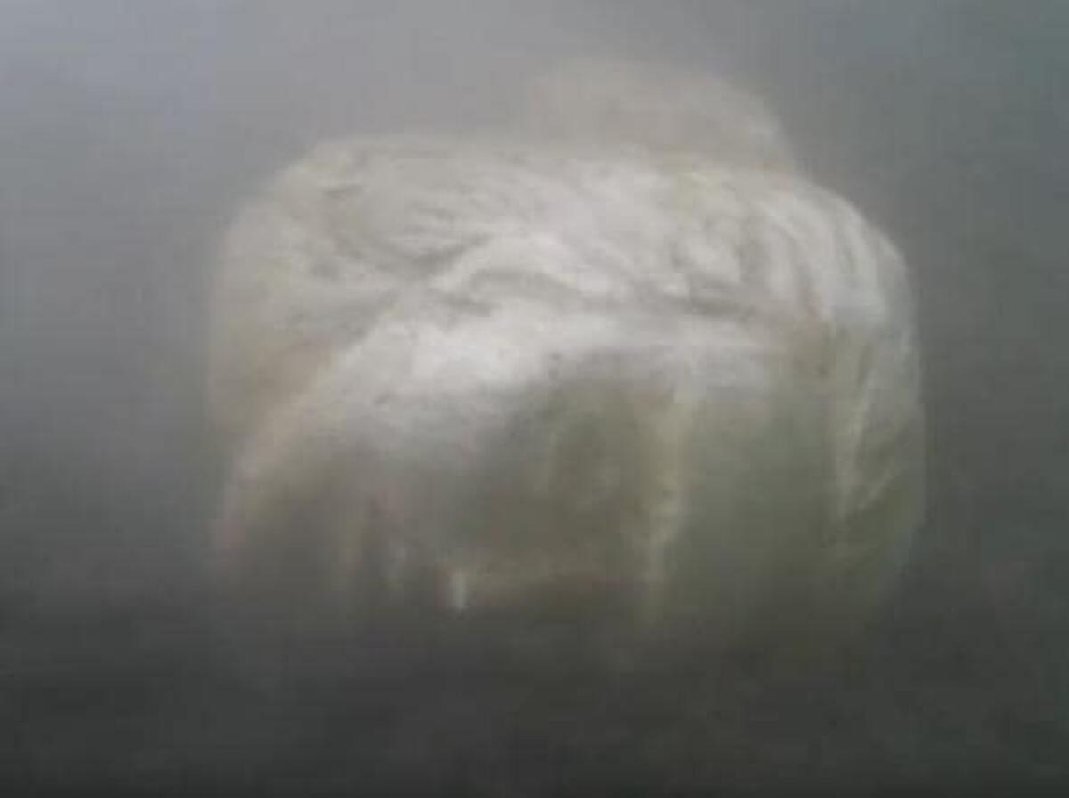 La storia di Roma riemerge dal lago di Nemi: ritrovato prezioso reperto - 