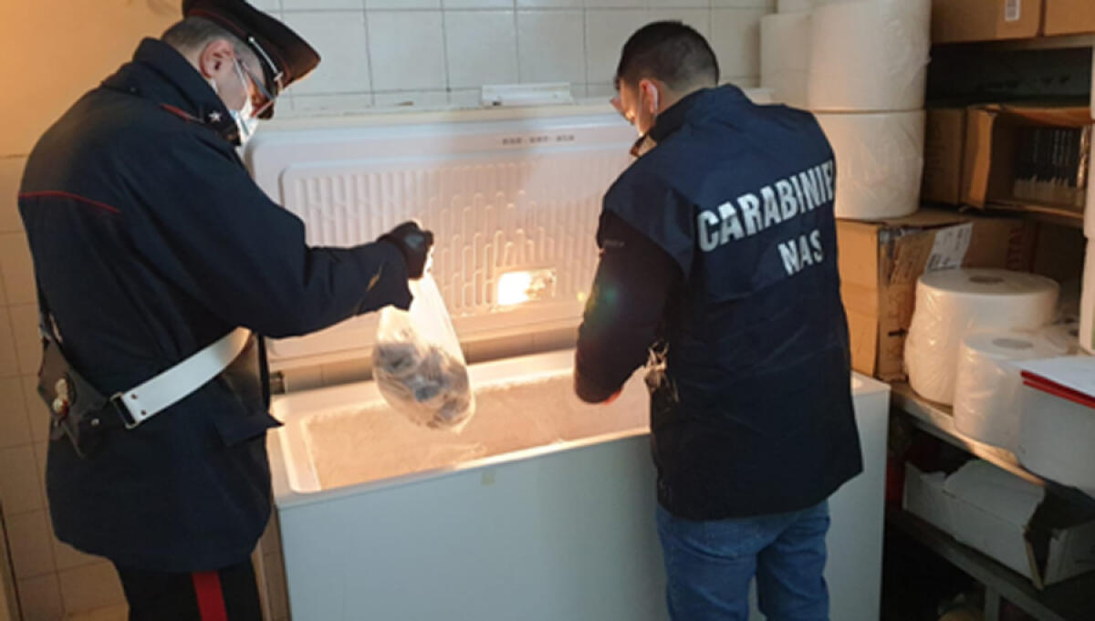 Ispezioni del Nas di Latina nei negozi di alimenti etnici: su 15 controlli in provincia, in 10 sono state trovate gravi irregolarità. - 