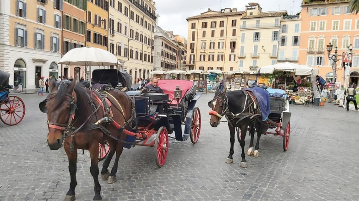 Roma. Botticelle, Oipa: “Emanata l’ordinanza “anticaldo” a tutela dei cavalli, denunciare le violazioni” - 