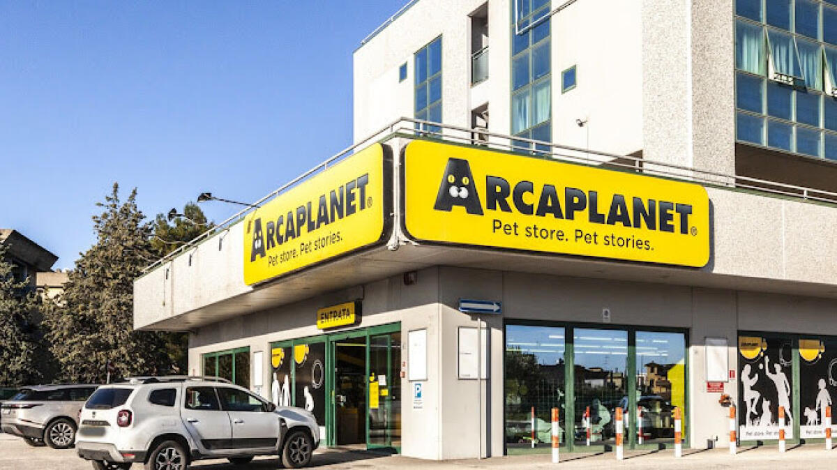 Aprilia - Rapina da Arcaplanet, è la quarta in dieci giorni - 