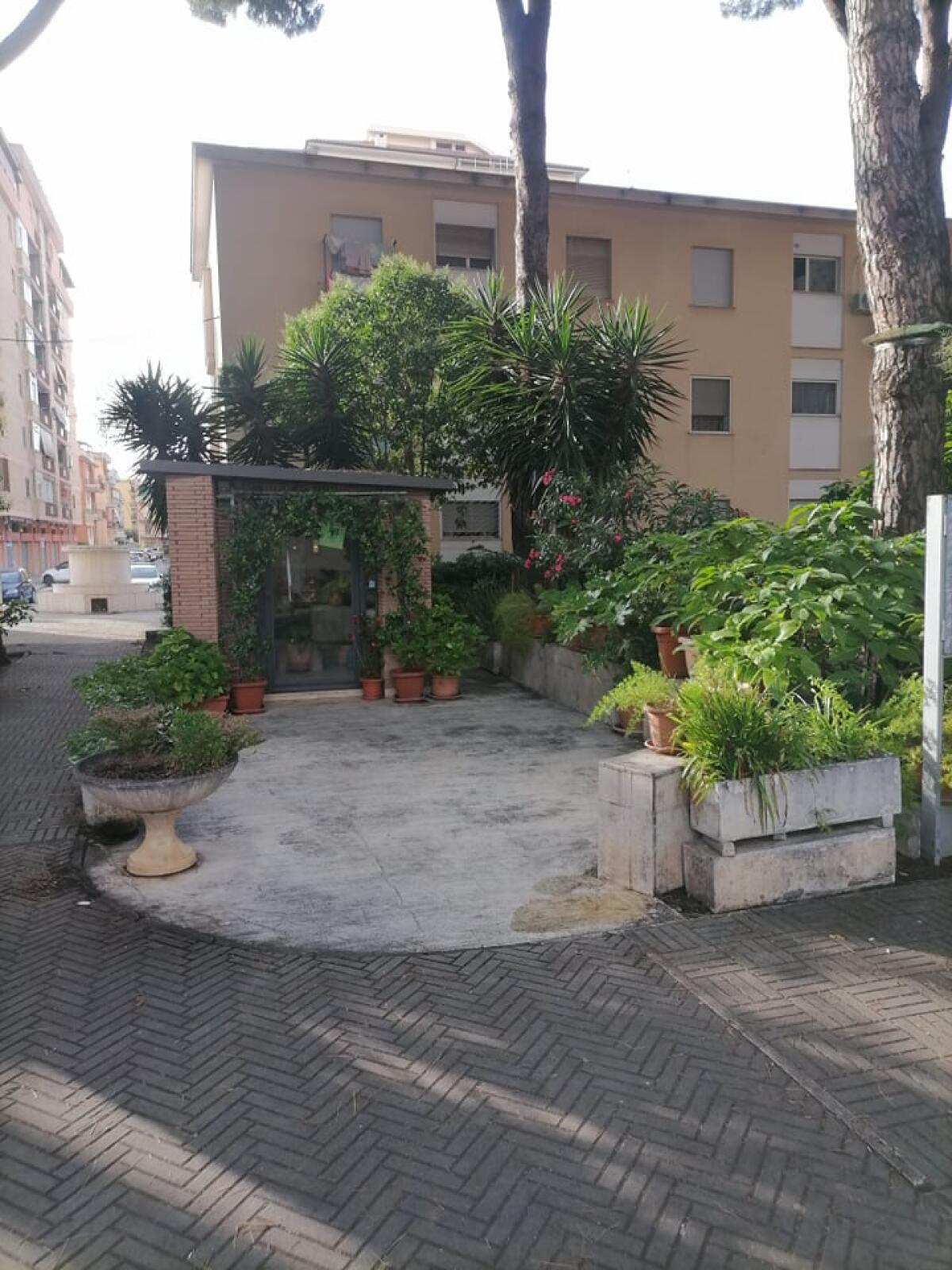 Questo giovedì alla Pinetina di via degli Oleandri, ad Aprilia, la Santa Messa in onore della Santa Bambina. - 