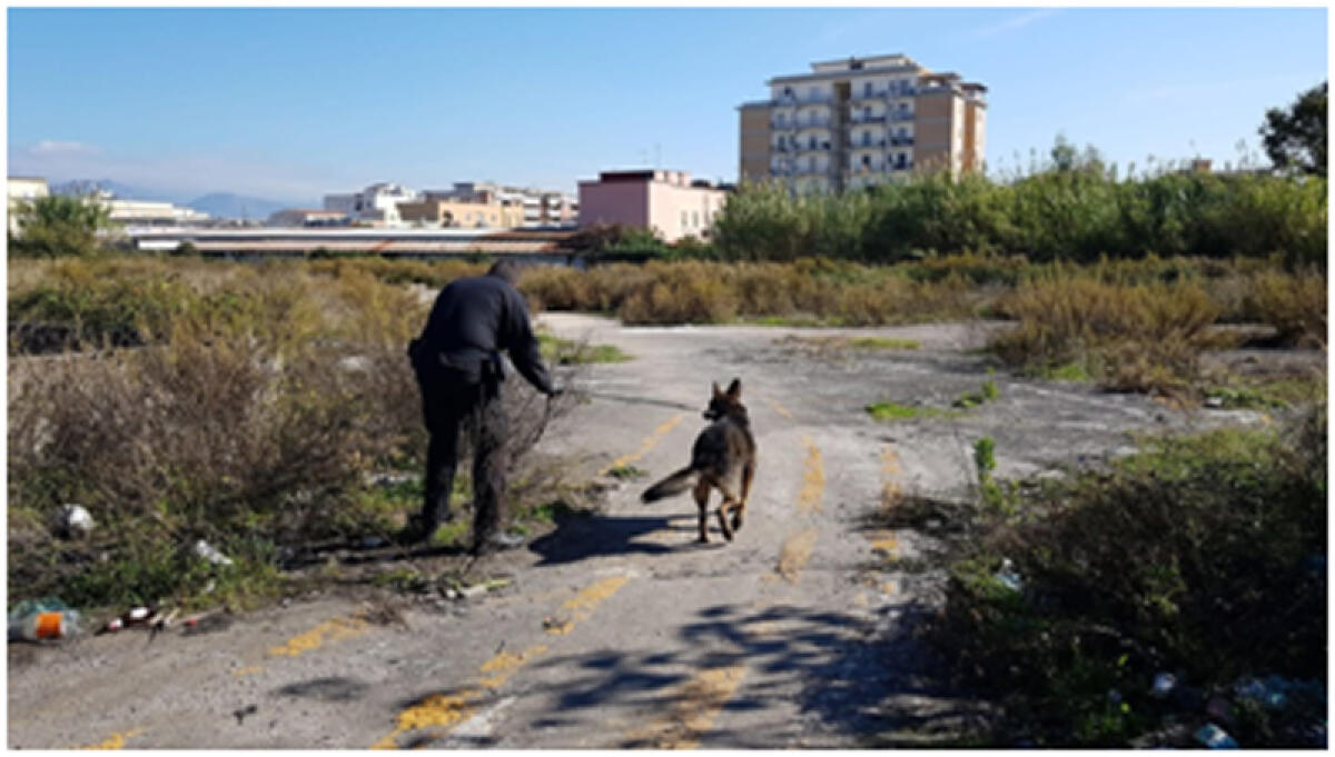 Vasto incendio ieri notte alla ex Svar di Latina.  Ciolfi (M5S): “urgente una commissione dedicata al tema”. - 