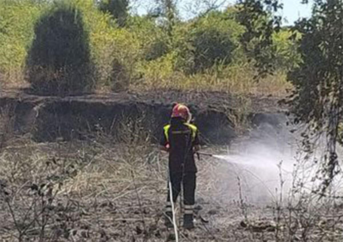 Vasto incendio di sterpaglie nel pomeriggio tra Castel Romano e via Pratica di Mare, a Pomezia. - 