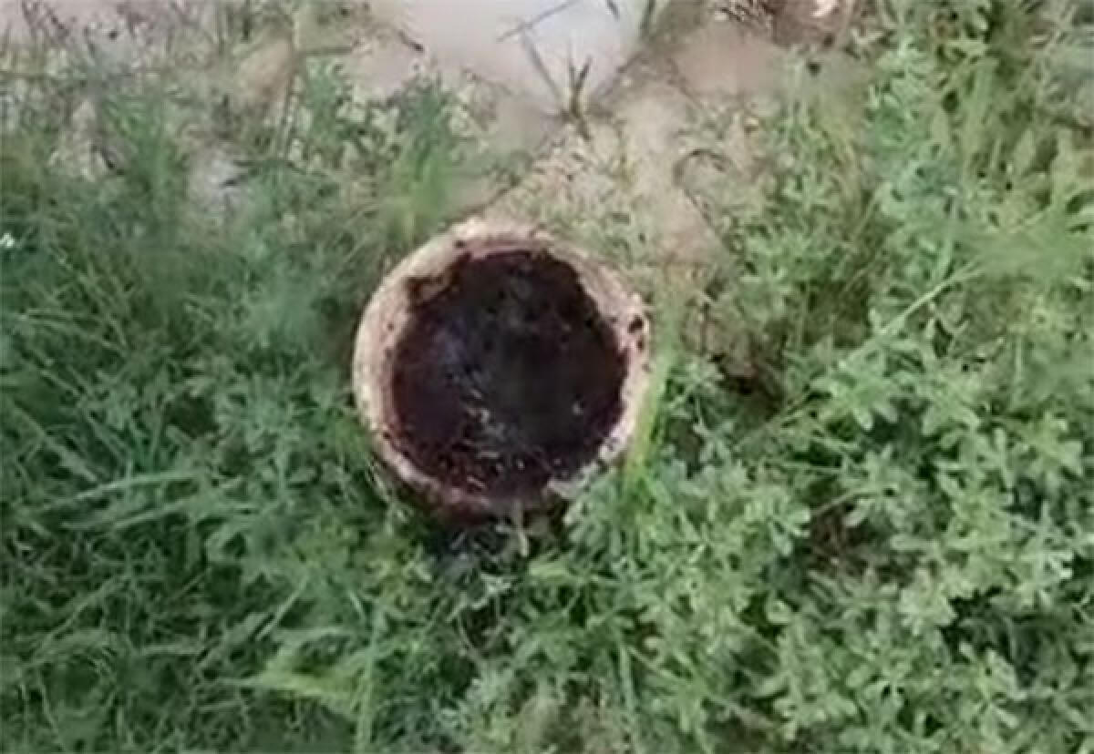 A distanza di 24 ore, vandalizzato nuovamente il Parco Dalla Chiesa, ad Aprilia. - 