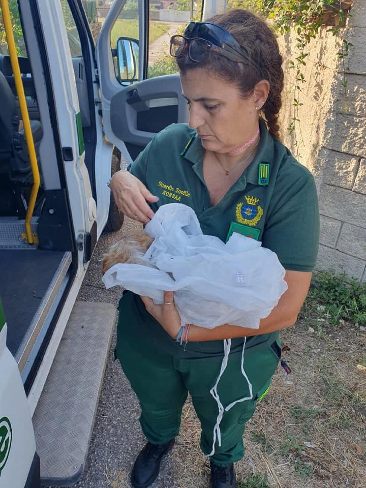 Ardea - Cuccioli abbandonati tra feci ed urine, proprietario rischia denuncia: "Scenario apocalittico" - 