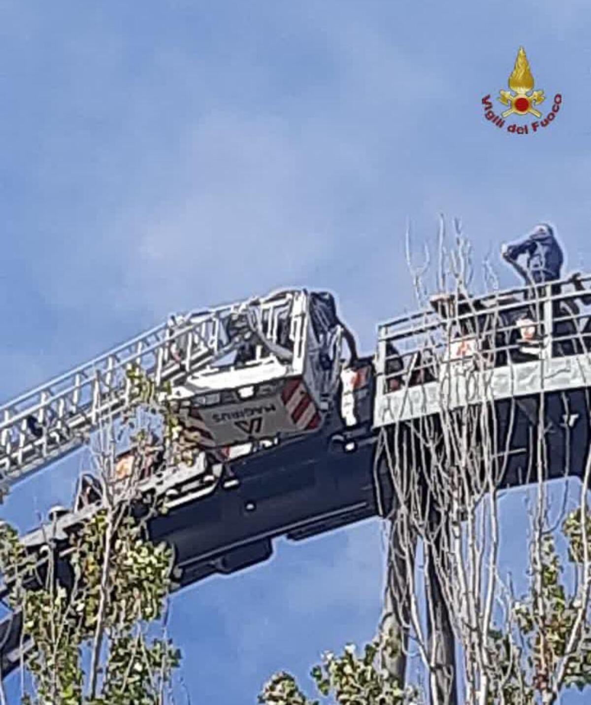 In 6 intrappolati nelle montagne russe allo Zoomarine: salvati dai vigili del fuoco di Pomezia - 