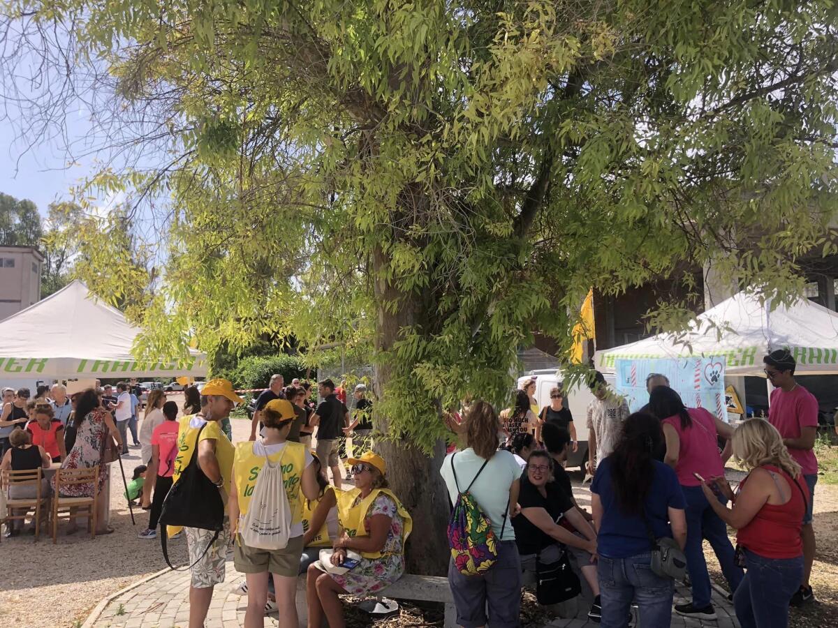 Canile di Latina a rischio, al sit-in di protesta oltre 400 persone - 