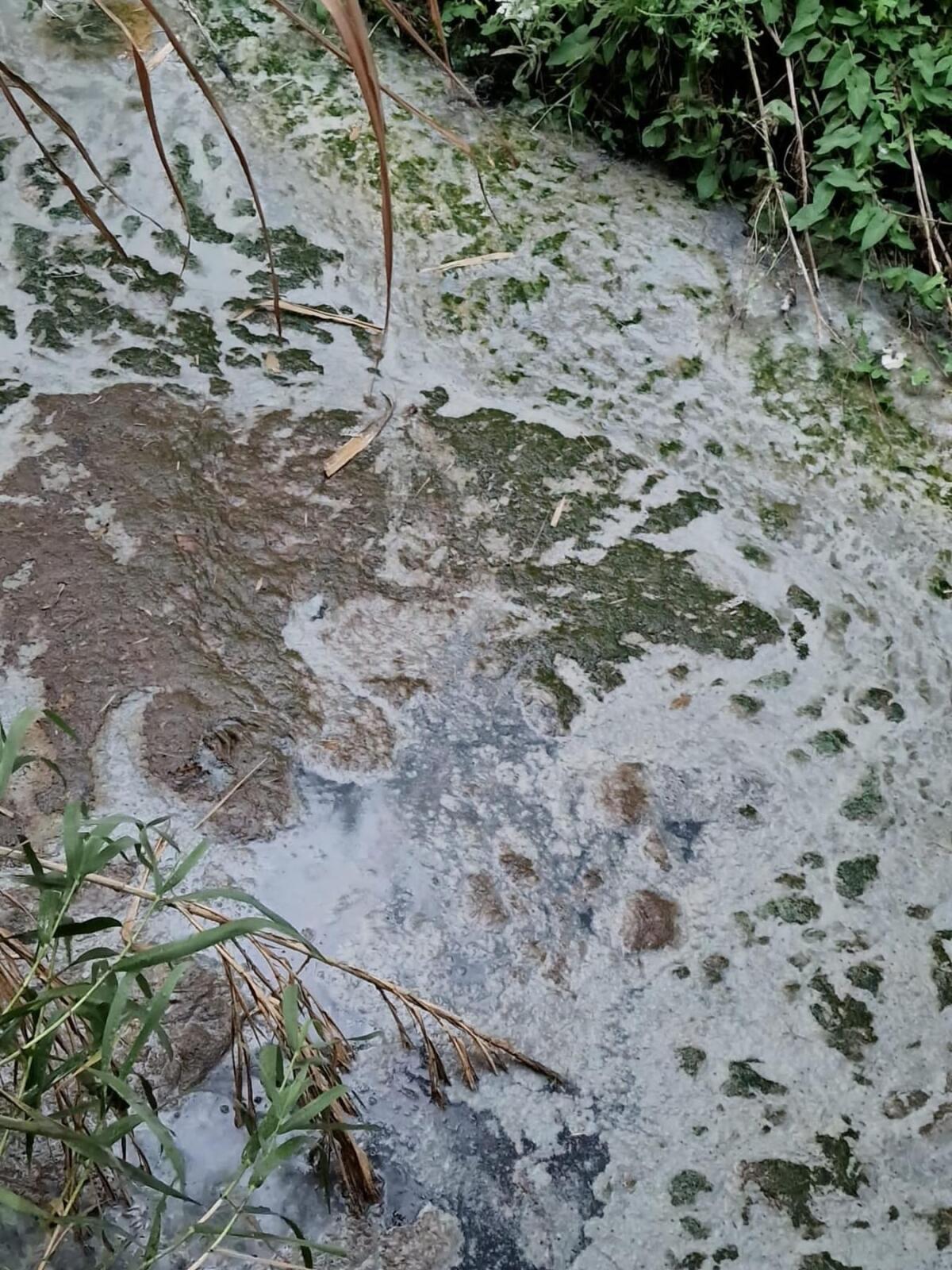 Aprilia - Miasmi alla Borgata Agip, "Problema peggiorato, cosa sta facendo l'assessorato all'Ambiente per risolverlo?" - 