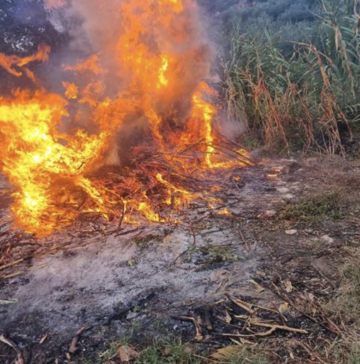 Appicca il fuoco in un bosco nel sud pontino: arrestato piromane - 