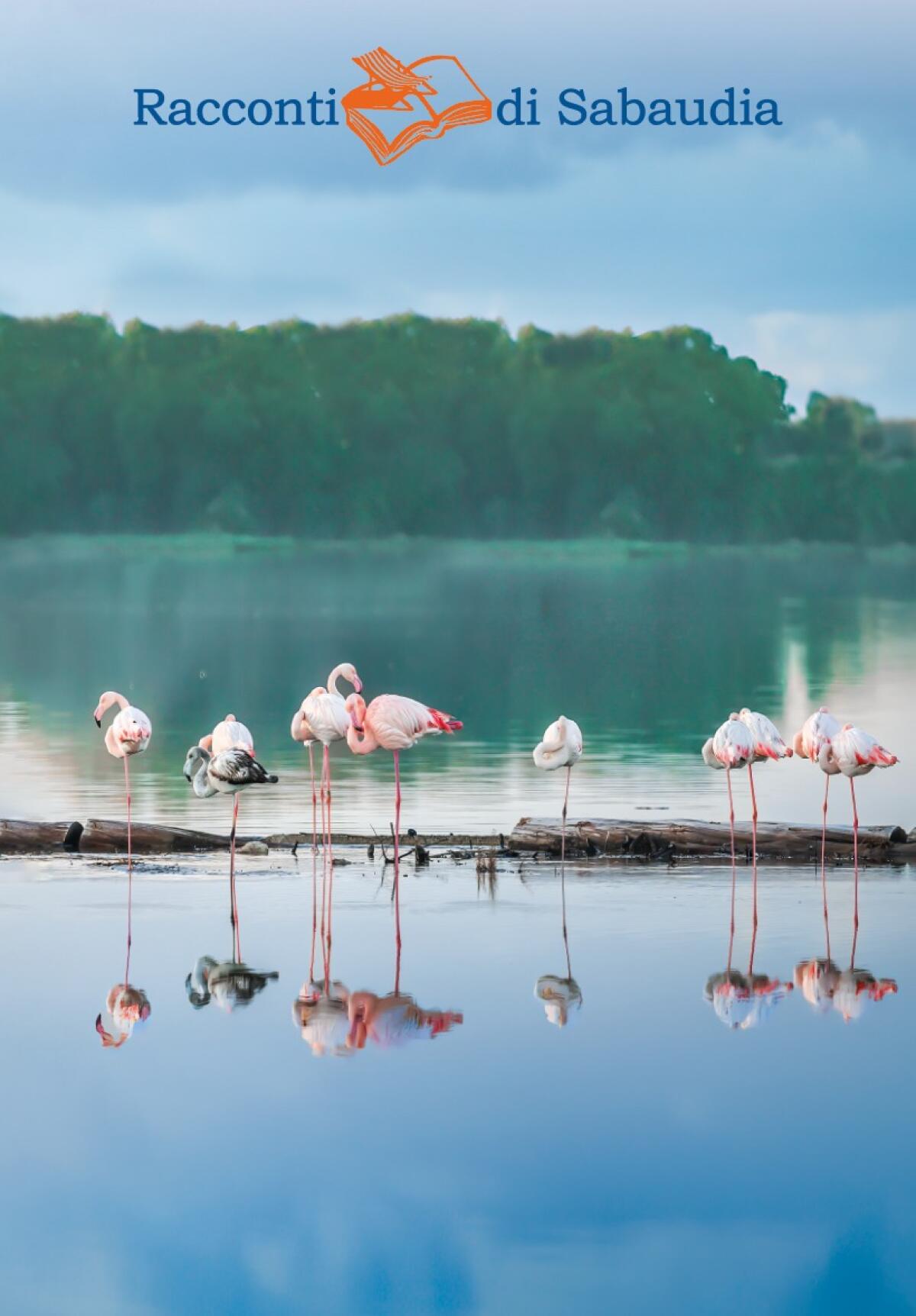 I Racconti di Sabaudia 2023, l'edizione dedicata a Maurizio Costanzo - 