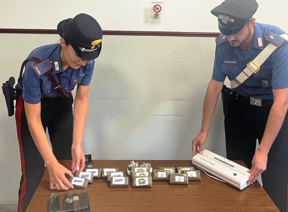 Operazione antidroga: il fiuto di Natan porta alla luce quasi tre chili di stupefacente. 16 arresti - 